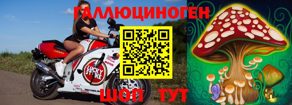 Галлюциногенные грибы MAGIC MUSHROOMS  закладки  Орск  Вход с VPN 